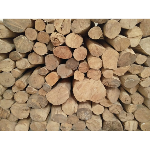 Sandelholz indisch (Mysore) BIO