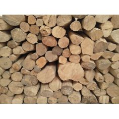 Sandelholz indisch (Mysore) BIO