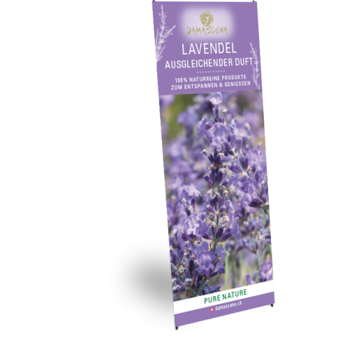 X-Banner Lavendel