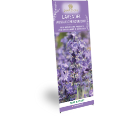 X-Banner Lavendel