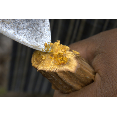 Palo Santo Öl