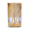 Colorlight Forest Aroma-Vernebler 200