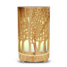 Colorlight Forest Aroma-Vernebler 200
