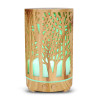 Colorlight Forest Aroma-Vernebler 200