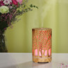 Colorlight Forest Aroma-Vernebler 200