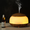 Colorlight Space Aroma-Vernebler