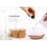 Colorlight Aroma-Vernebler 500
