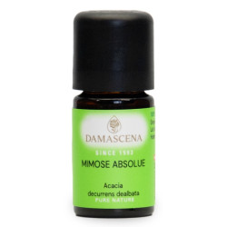 Mimose Absolue 50% - ätherisches Öl