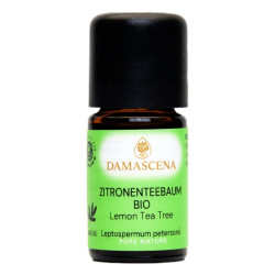 Zitronenteebaum BIO